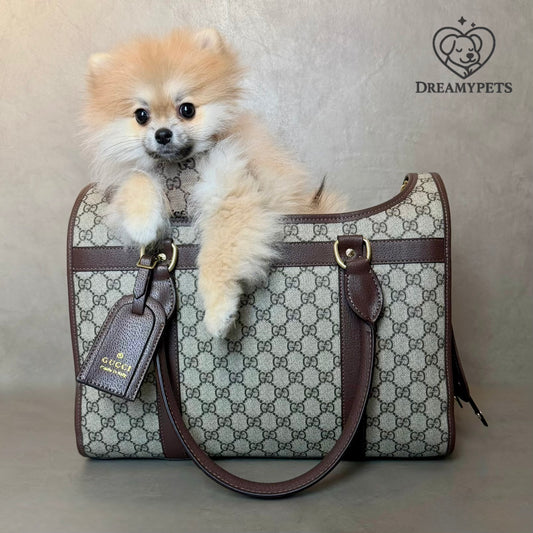 Borsa trasportino GG