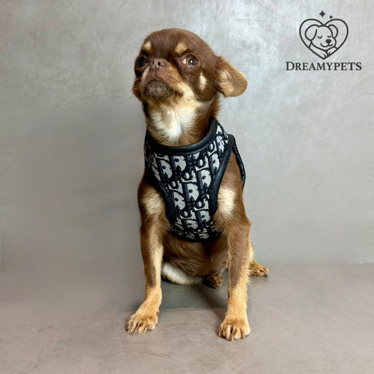 SET DOGIOR (pettorina e guinzaglio)