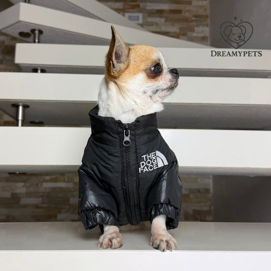 CAPPOTTINO THE DOG FACE