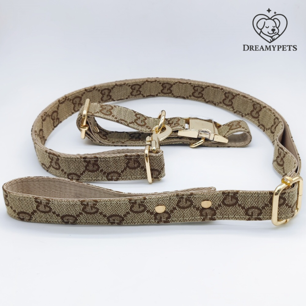 SET GG (collare e guinzaglio)