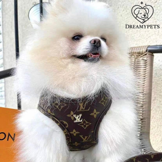 SET LOUIS PAW (pettorina e guinzaglio)