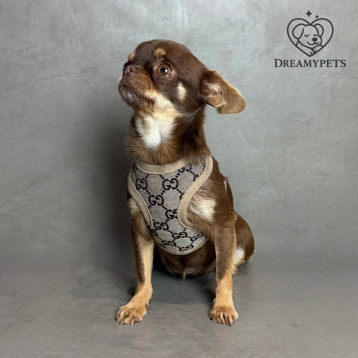 SET BAWCCI BEIGE (pettorina e guinzaglio)