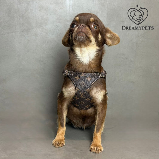 SET LUIVII (pettorina e guinzaglio)