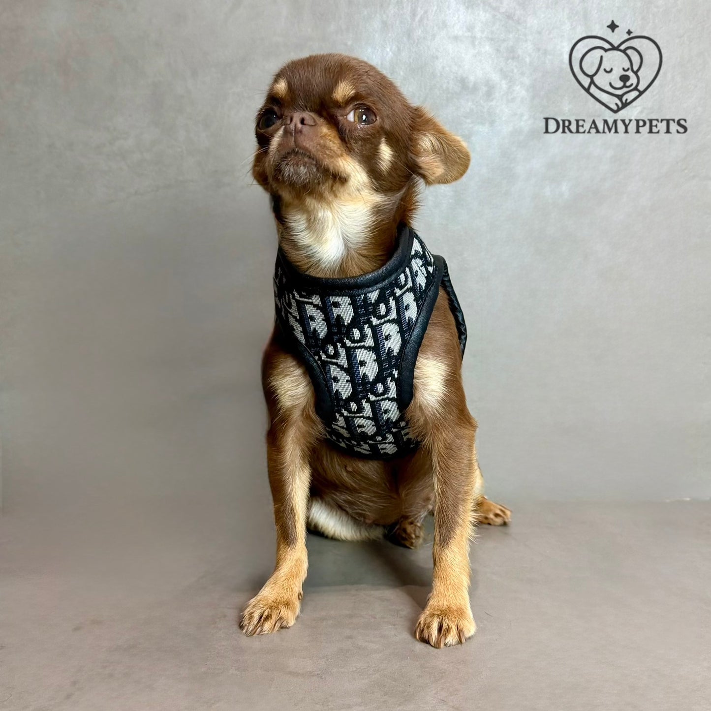 SET DOGIOR (pettorina e guinzaglio)
