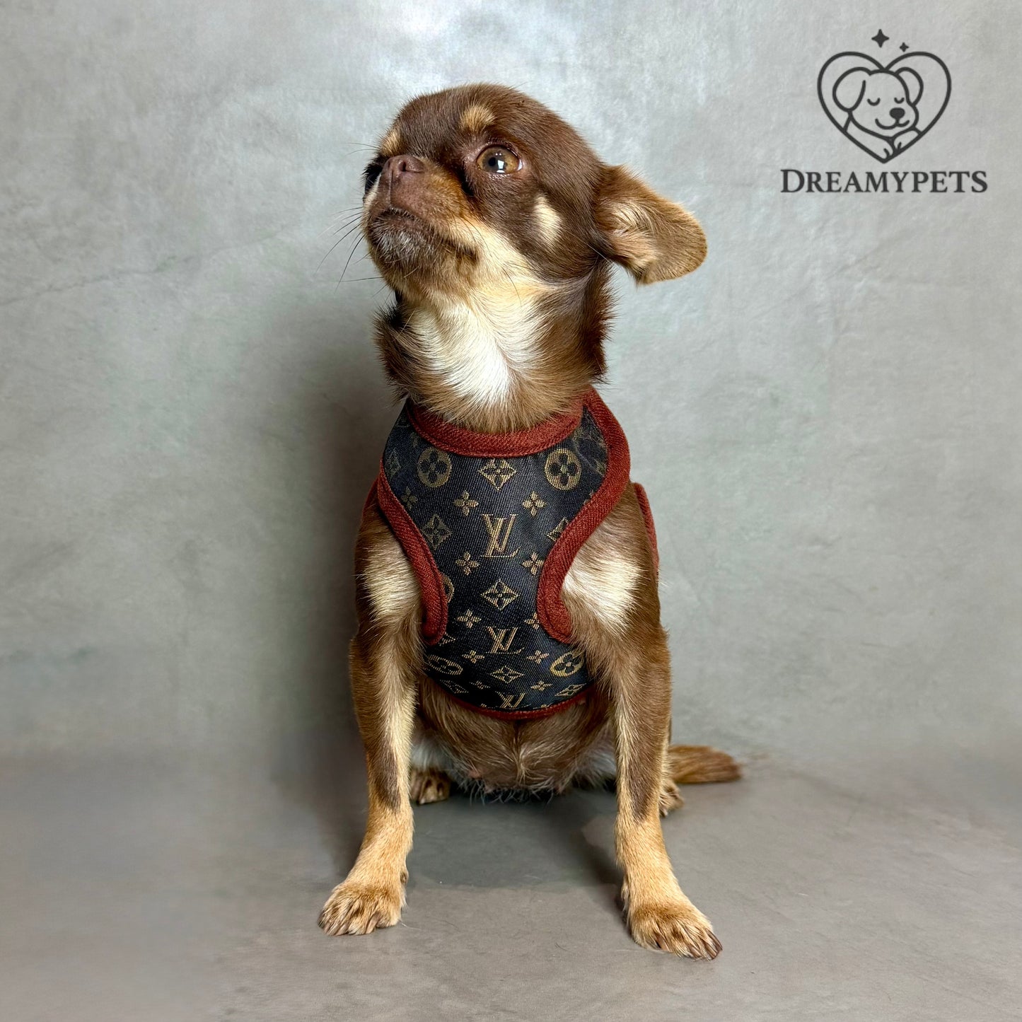 SET LOUIS PAWTTON (pettorina e guinzaglio)