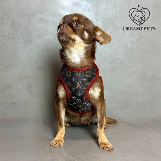 SET LOUIS PAWTTON (pettorina e guinzaglio)