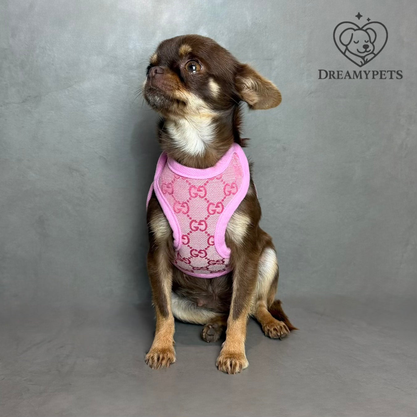 SET BAWCCI ROSA (pettorina e guinzaglio)