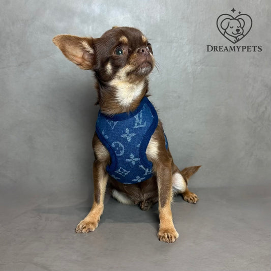SET LOUIS PAWTTON BLU (pettorina e guinzaglio)