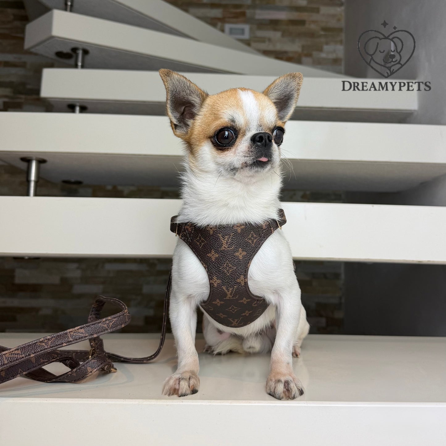 SET LUIVII (pettorina e guinzaglio)