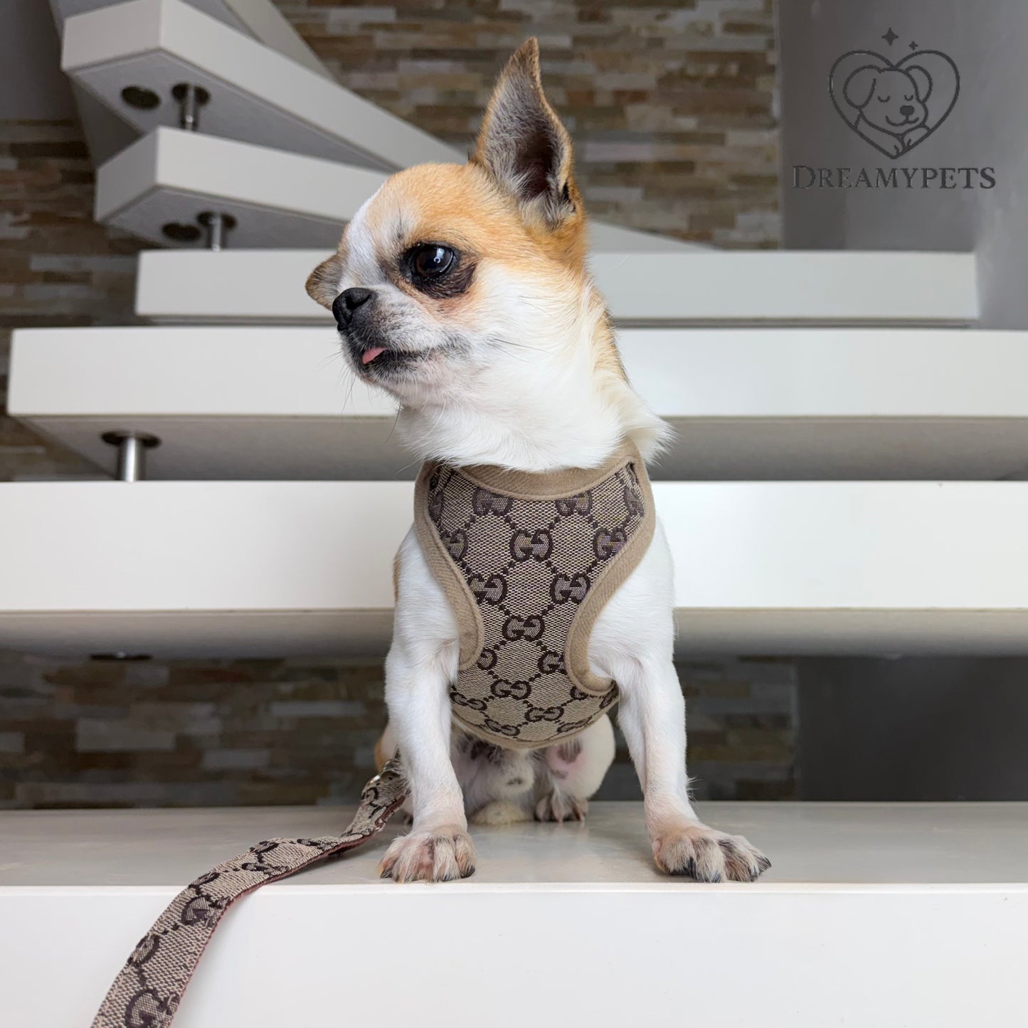 SET BAWCCI BEIGE (pettorina e guinzaglio)