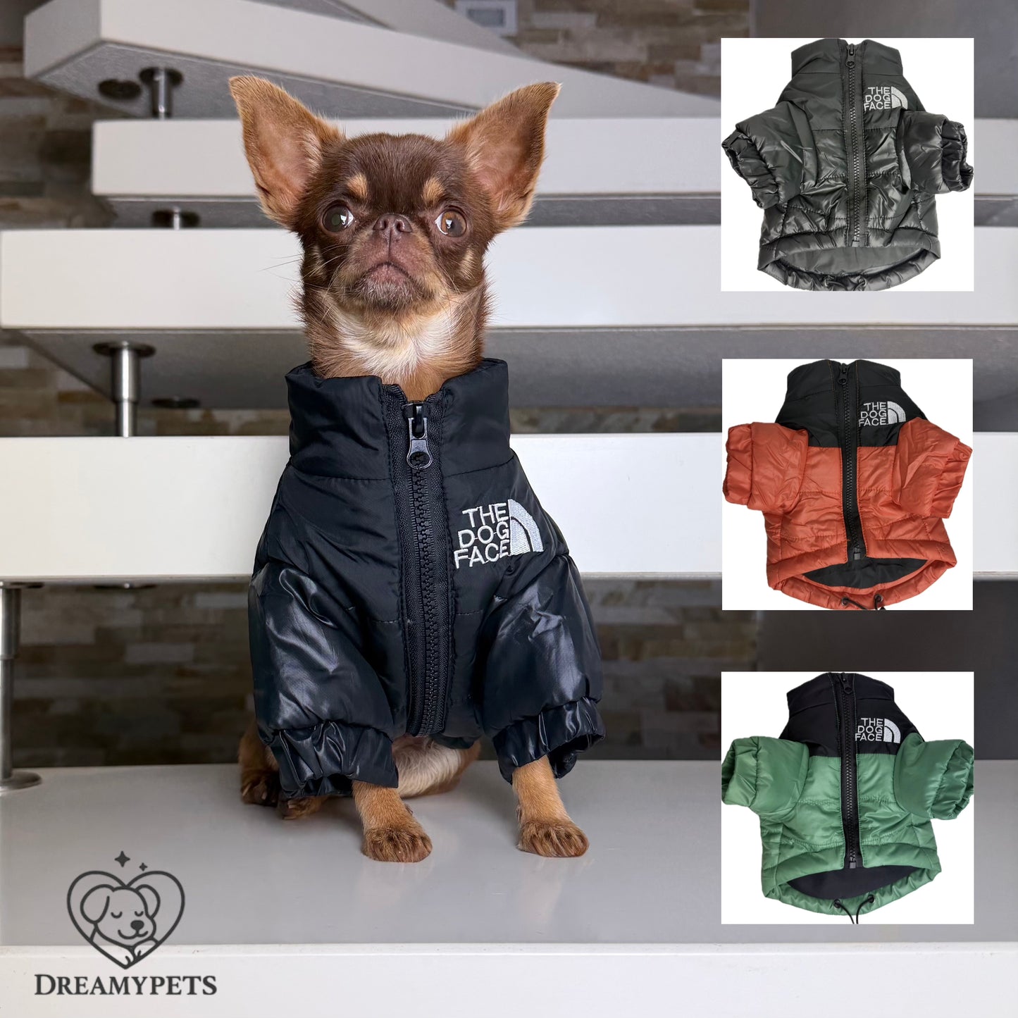 CAPPOTTINO THE DOG FACE