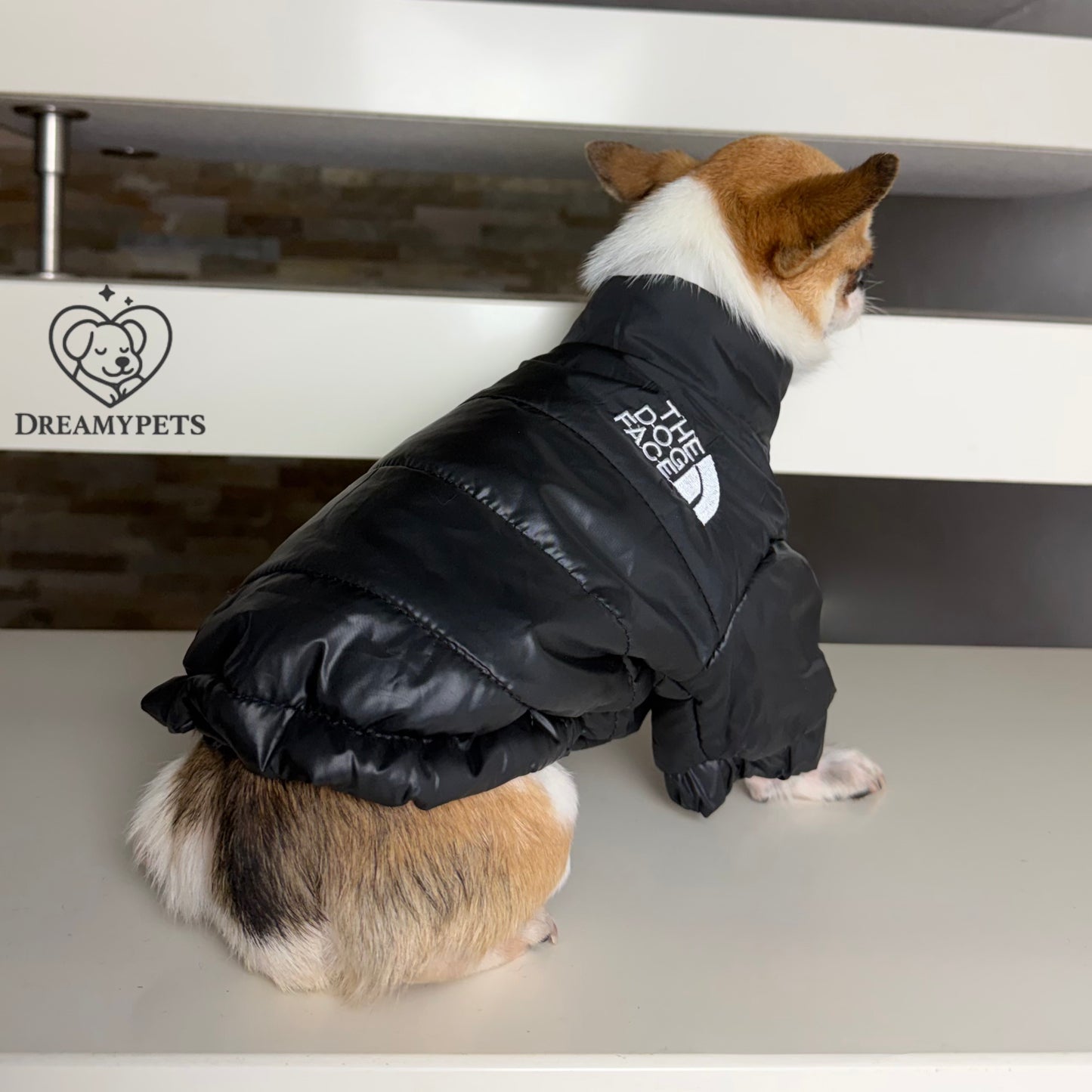 CAPPOTTINO THE DOG FACE