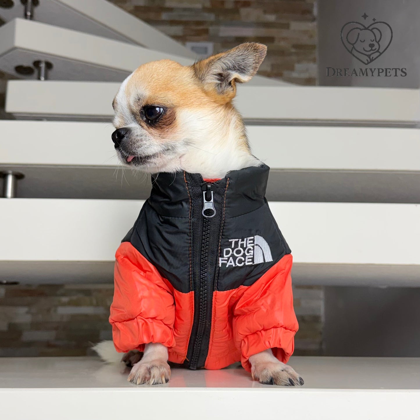 CAPPOTTINO THE DOG FACE