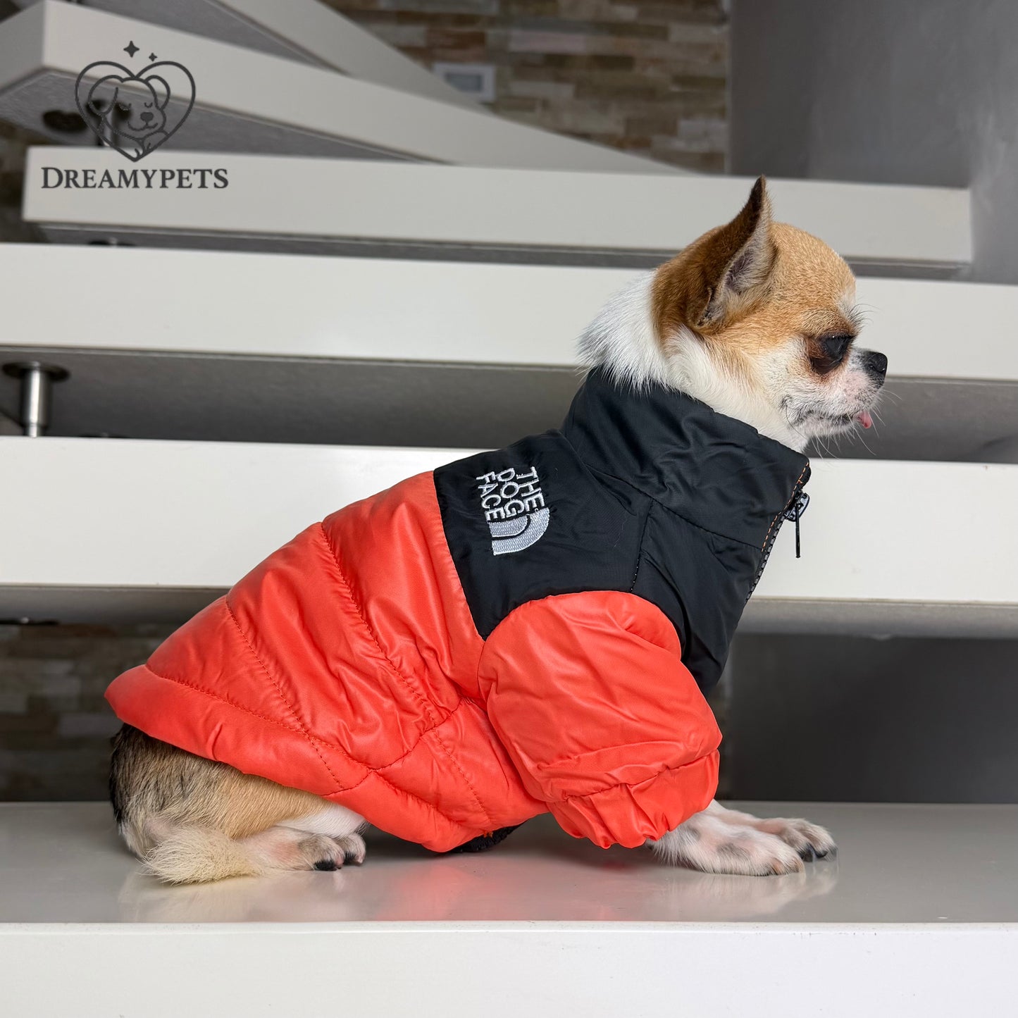 CAPPOTTINO THE DOG FACE