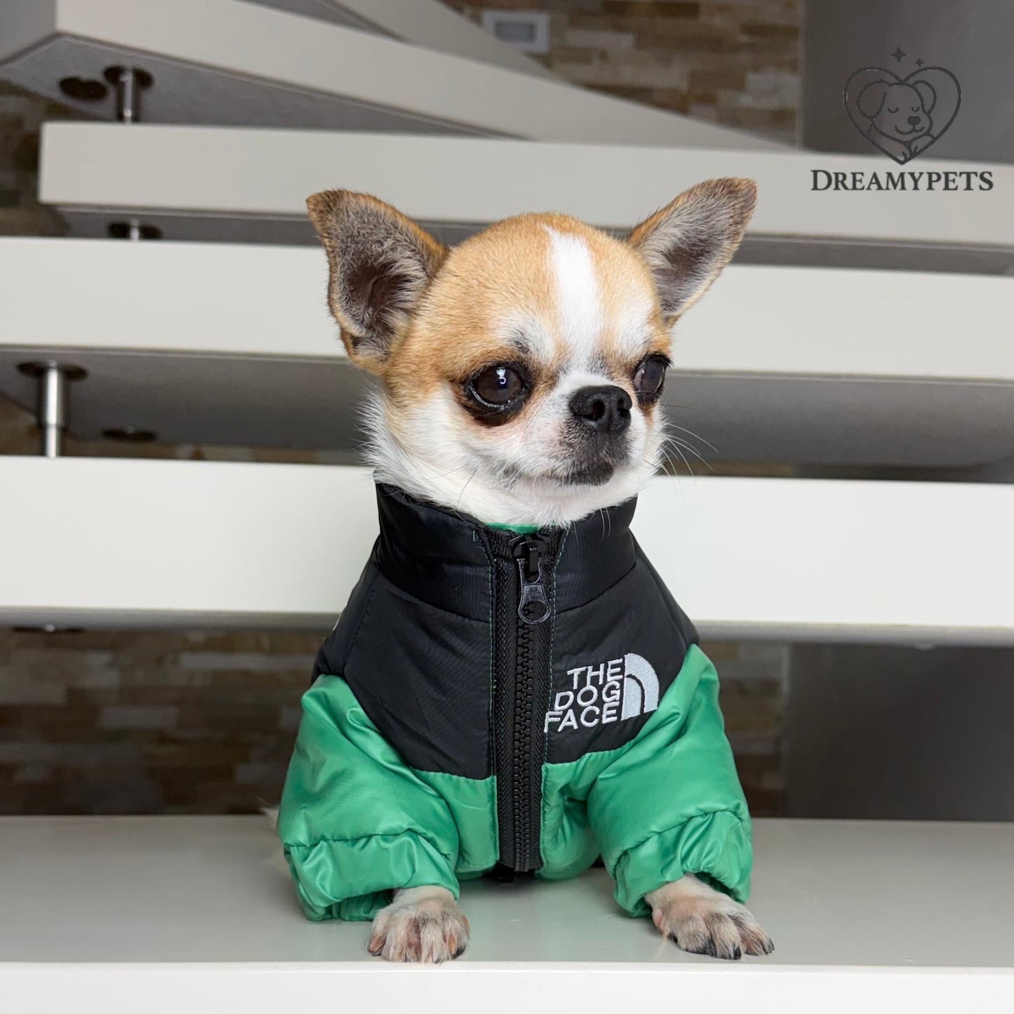 CAPPOTTINO THE DOG FACE