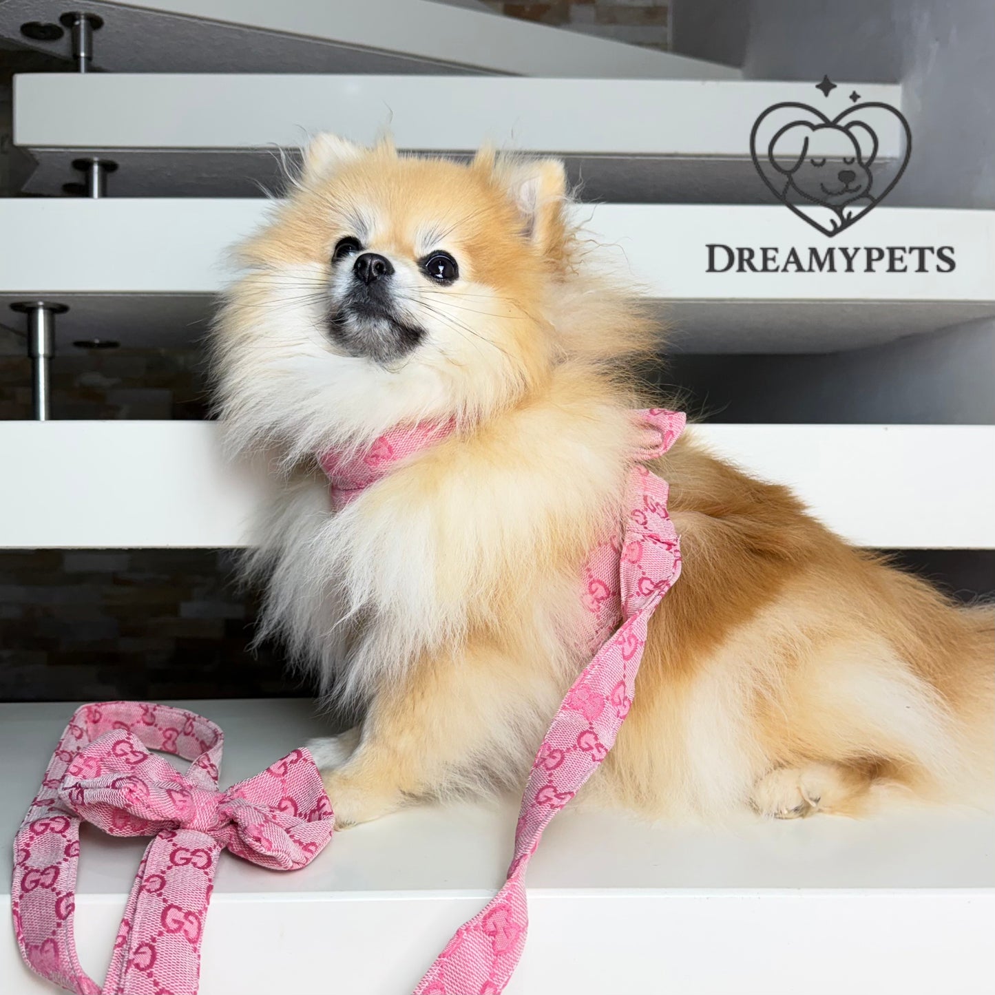 SET GG FIOCCO ROSA (pettorina e guinzaglio)