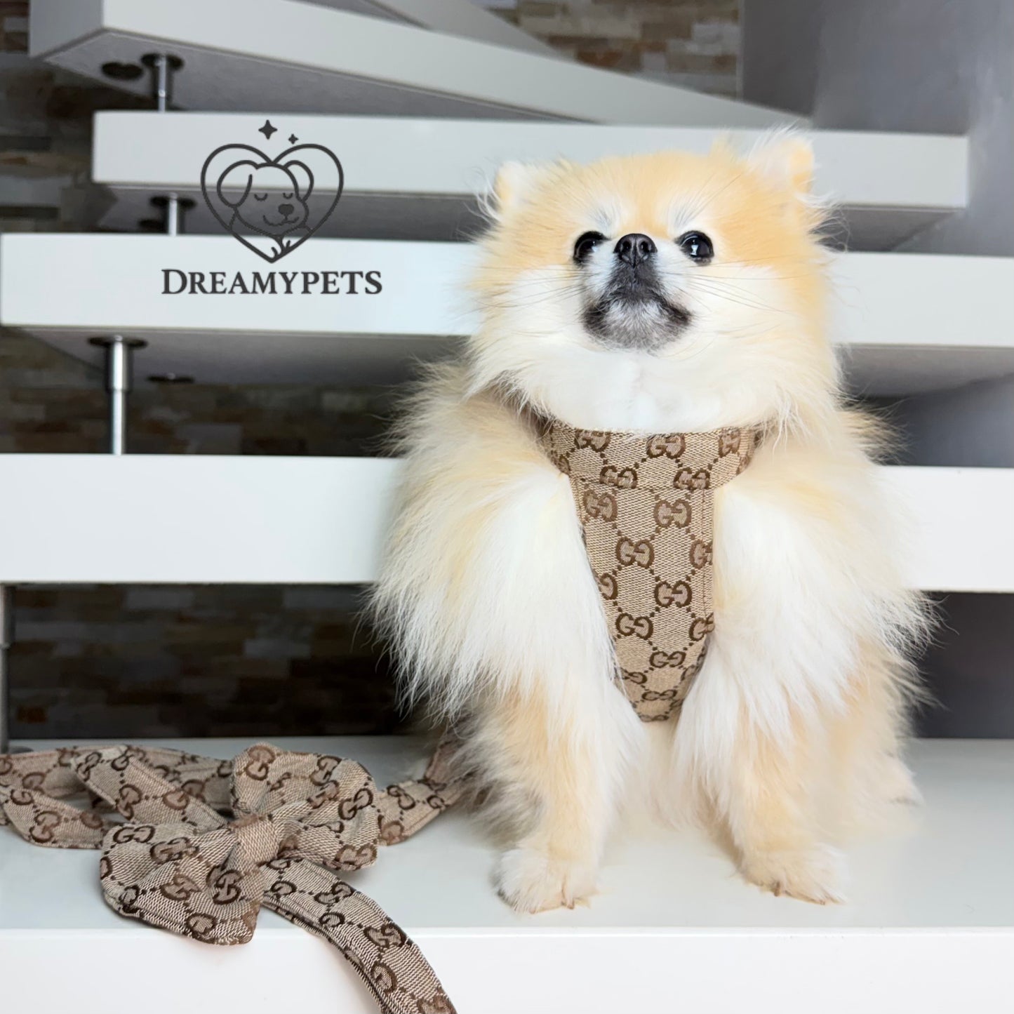 SET GG FIOCCO BEIGE (pettorina e guinzaglio)