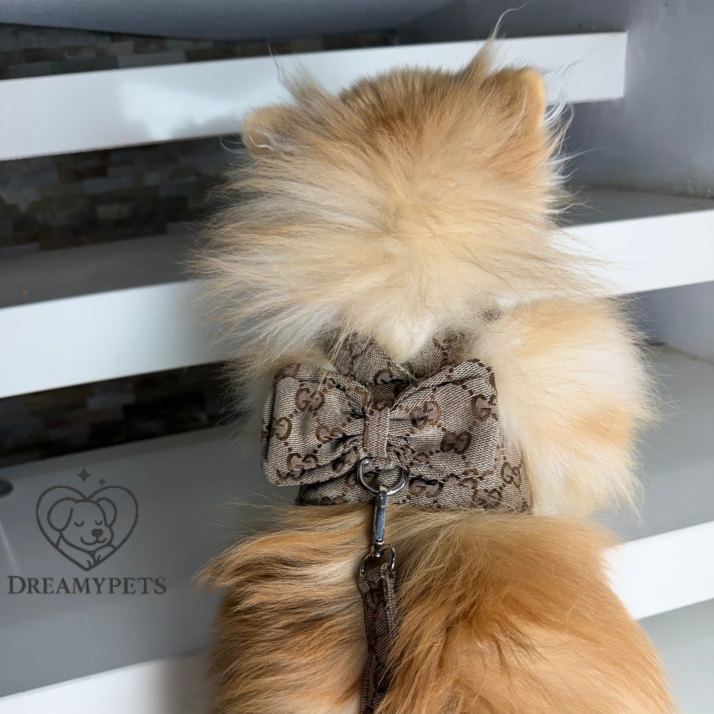 SET GG FIOCCO BEIGE (pettorina e guinzaglio)