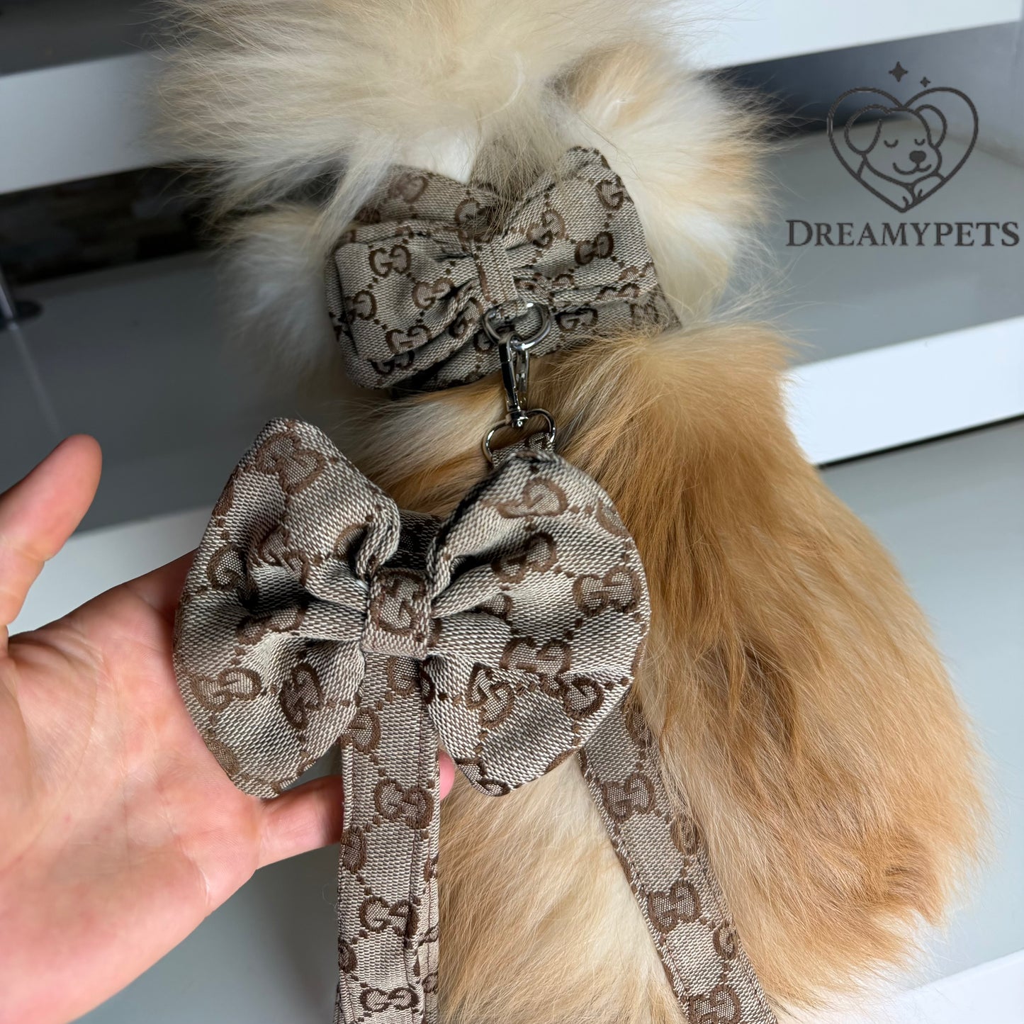 SET GG FIOCCO BEIGE (pettorina e guinzaglio)