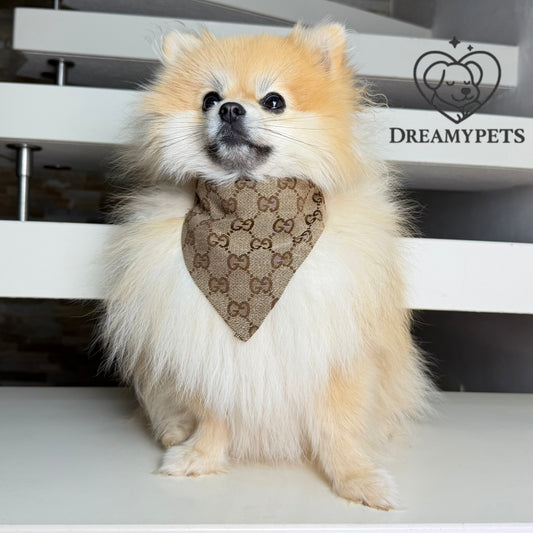 SET GG BANDANA BEIGE (collare e guinzaglio)