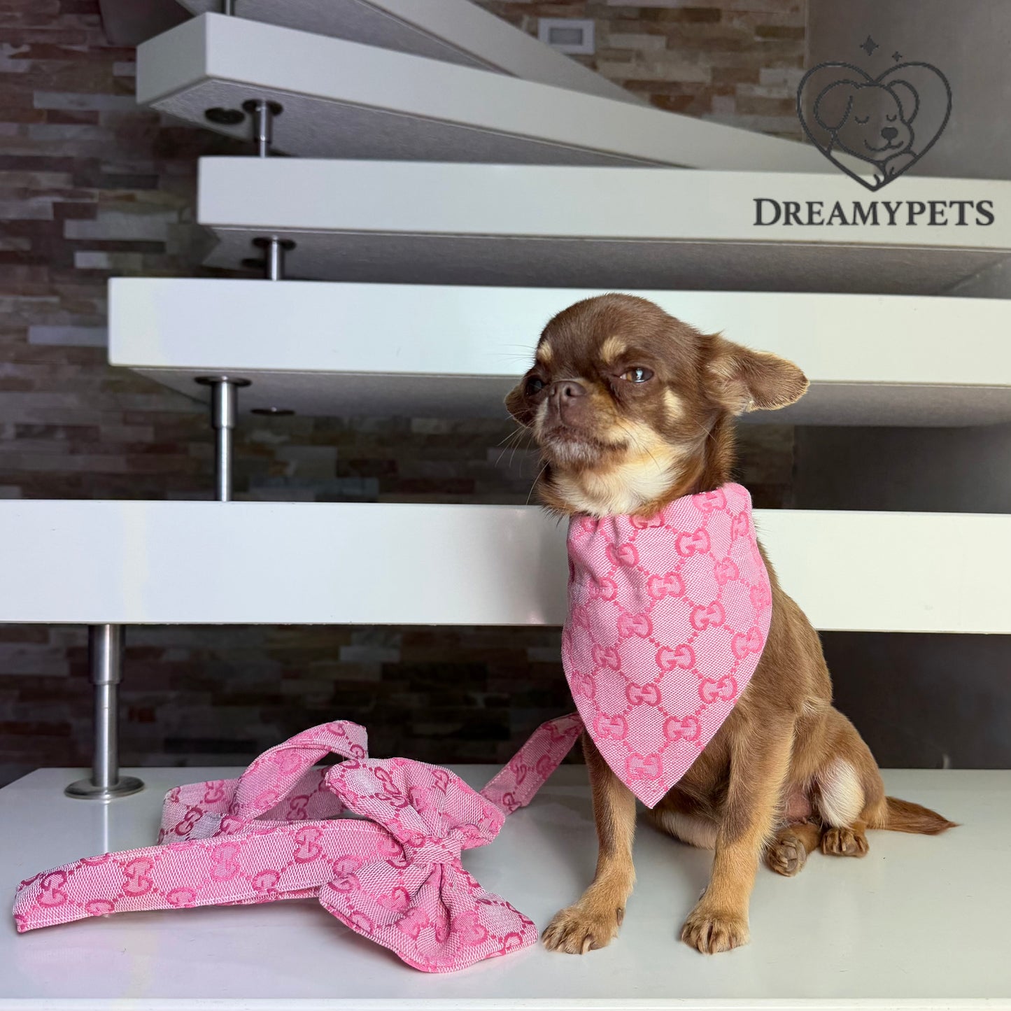 SET GG BANDANA ROSA (collare e guinzaglio)